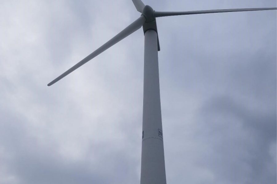 1612521974_c6443b8736b92a3